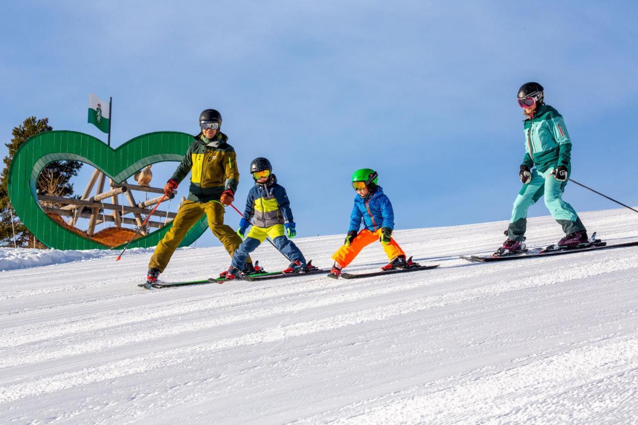 Apartments Haufhof , Haus Im Ennstal Bei Schladming Esterno foto